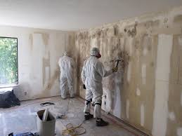 Biohazard Mold Removal in Hasson Heights, PA